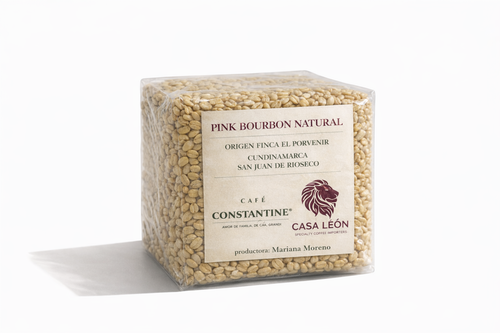 Café Vert Castillo Lavé x 3 kg — San Juan de Rioseco, Cundinamarca, Colombie