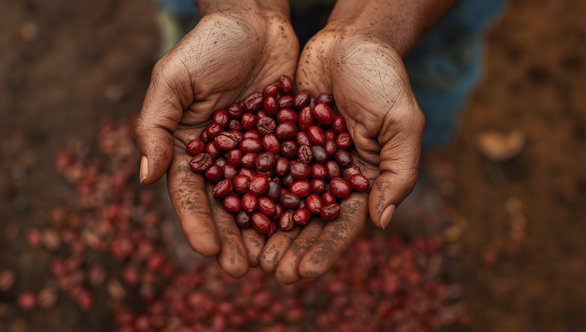 Coffee made by women
